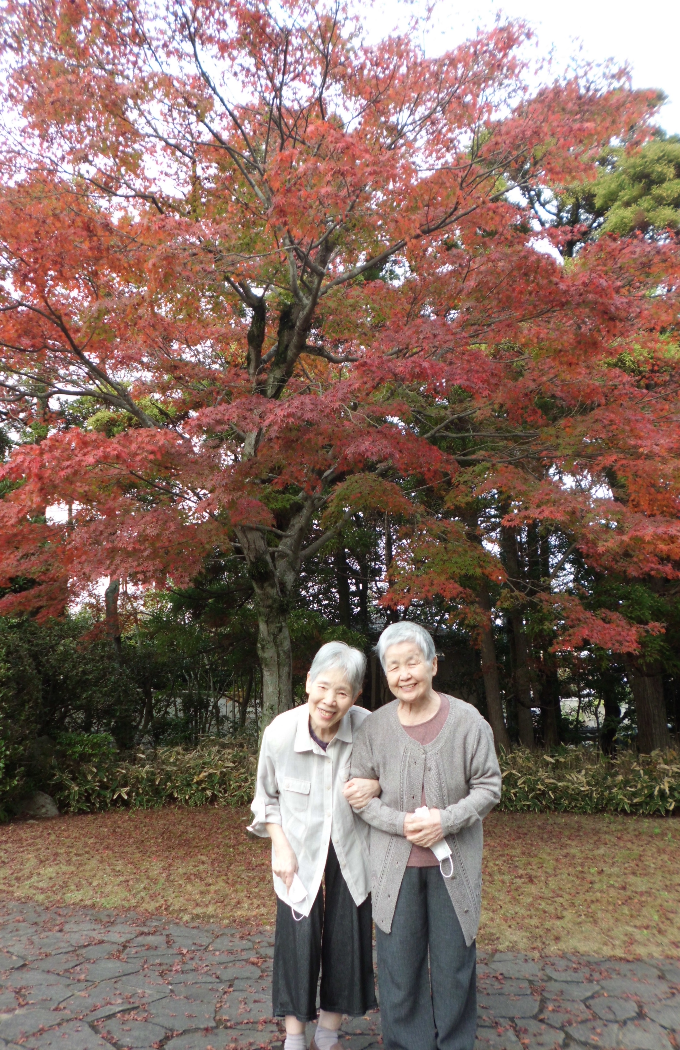 もみじ狩りに行ってきました【山口】