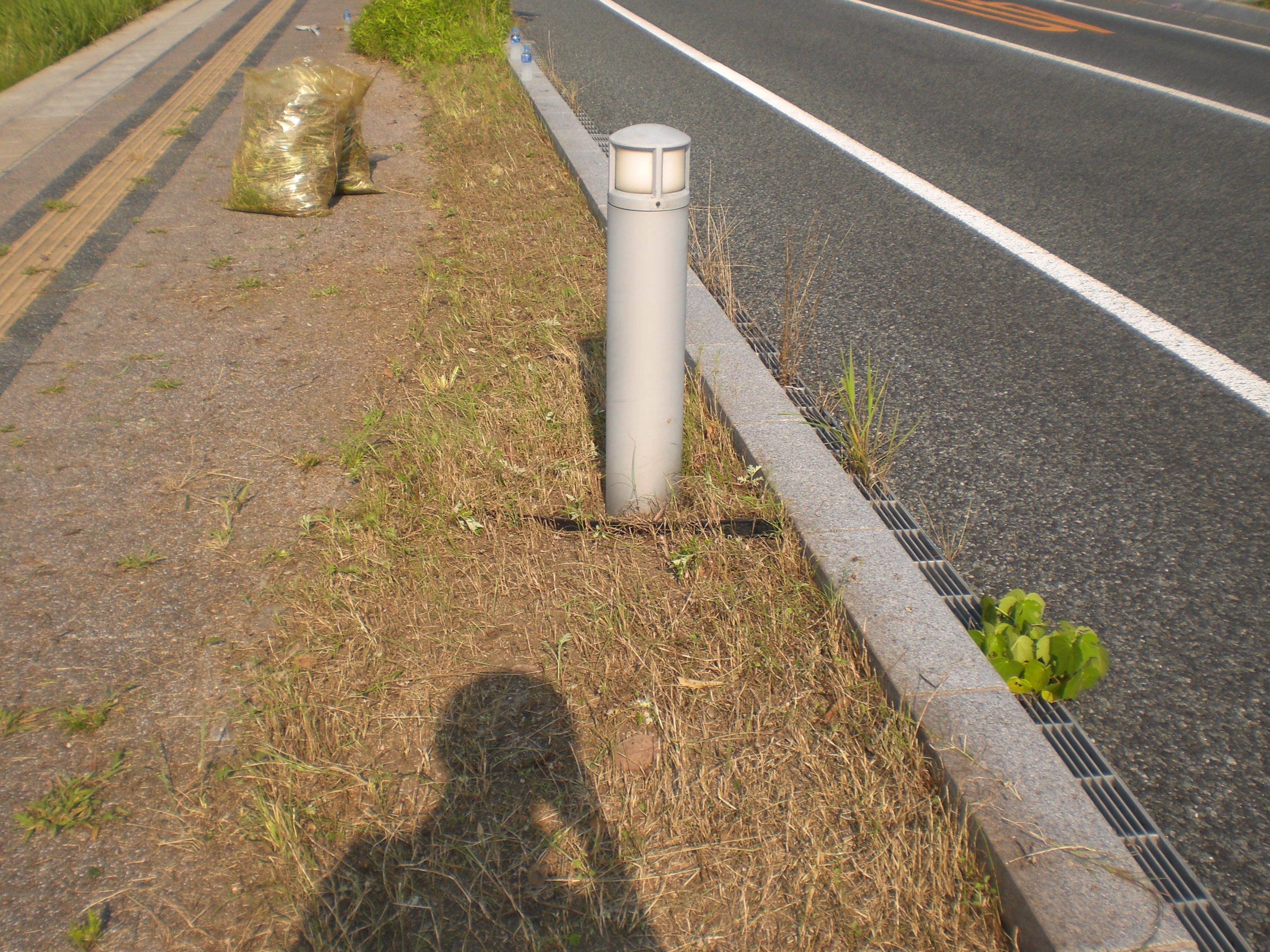 小規模多機能センター＆グループホーム出雲で清掃活動を【島根】